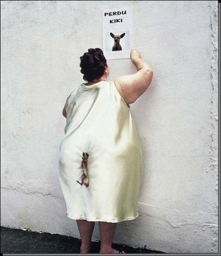 il est dans ton derriere le chien
